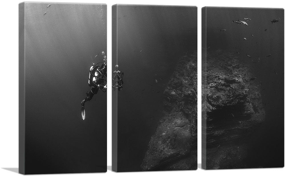 3-panel