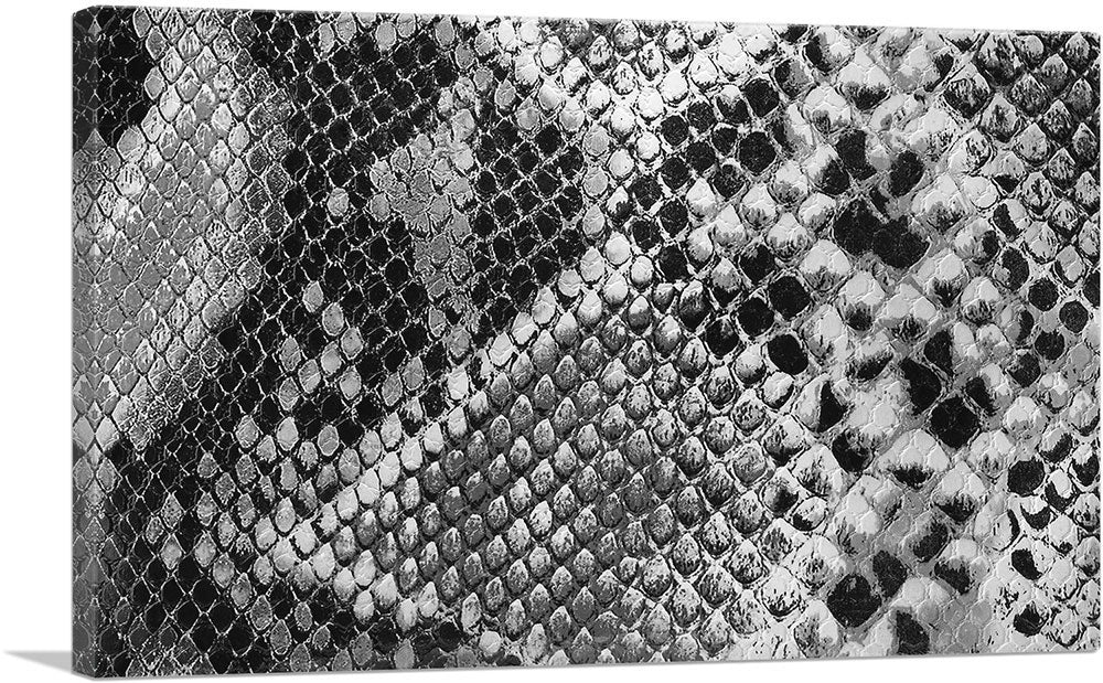 1-panel