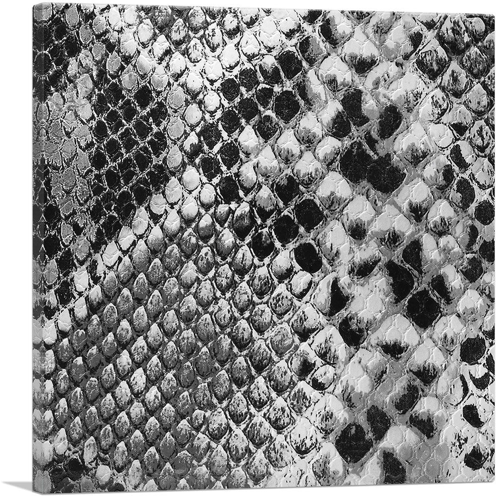 1-panel