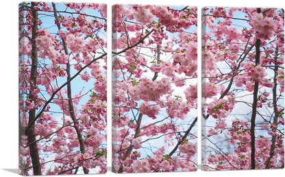 3-panel