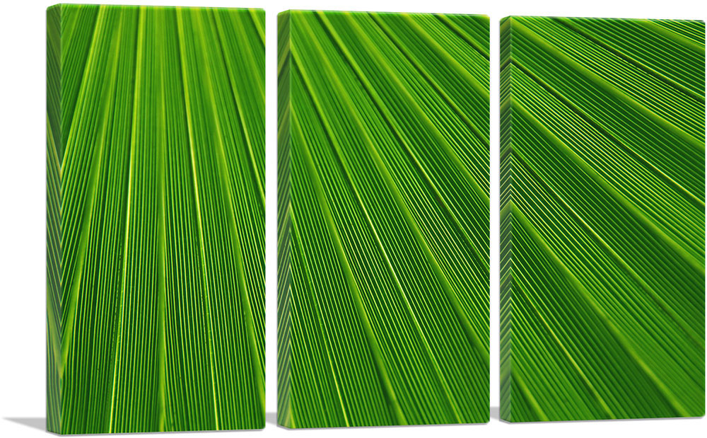 3-panel