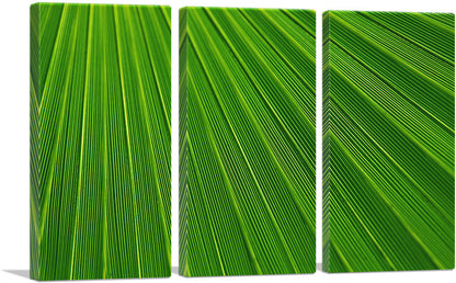 3-panel