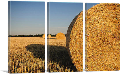 3-panel