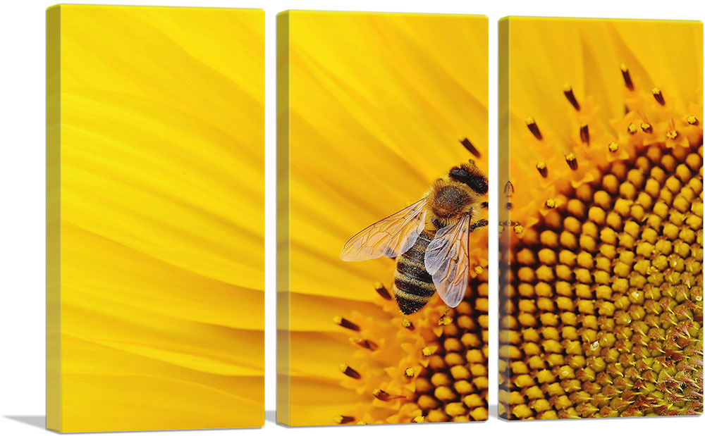 3-panel