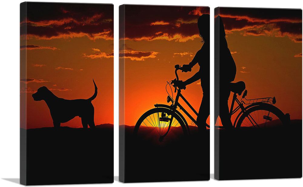 3-panel