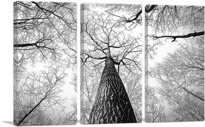 Tall Tree Branches Home Decor Rectangle