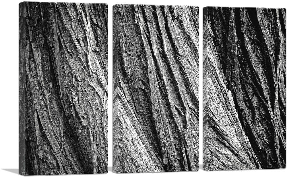 3-panel