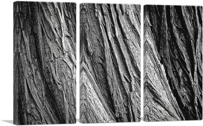 3-panel