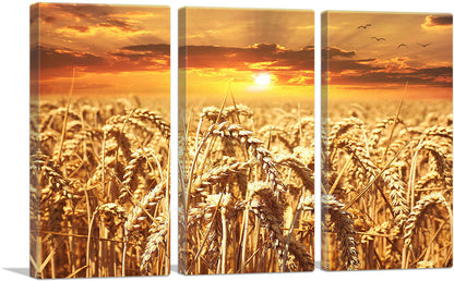 3-panel