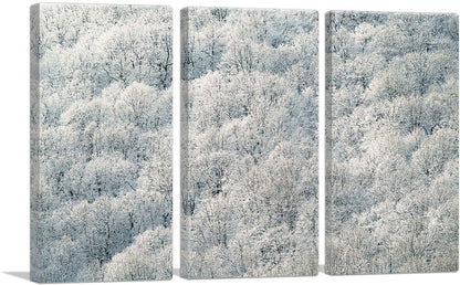 3-panel