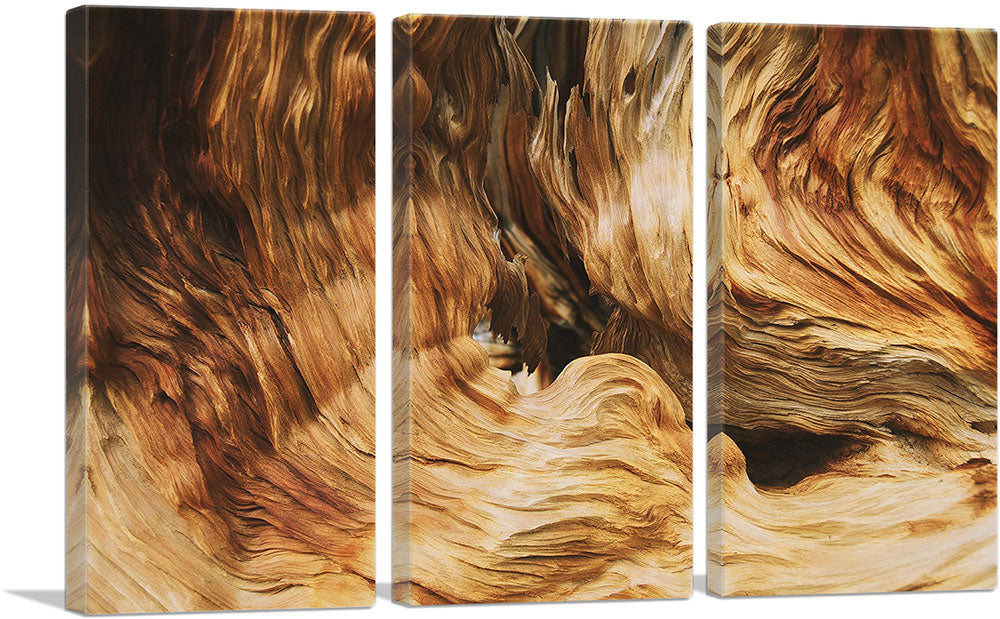 Wood Abstract Texture Home decor