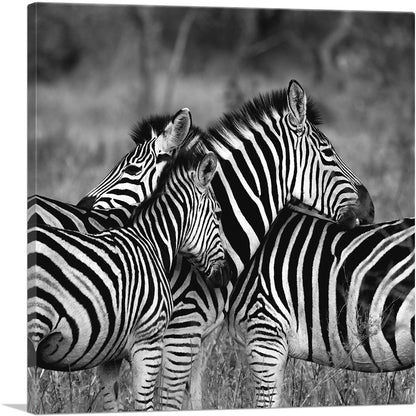 1-panel