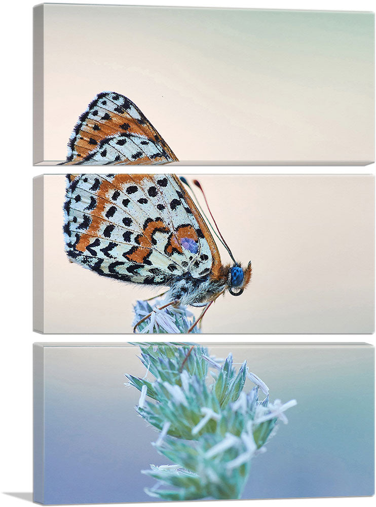 3-panel