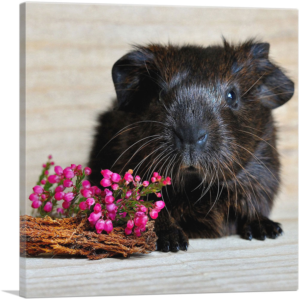1-panel