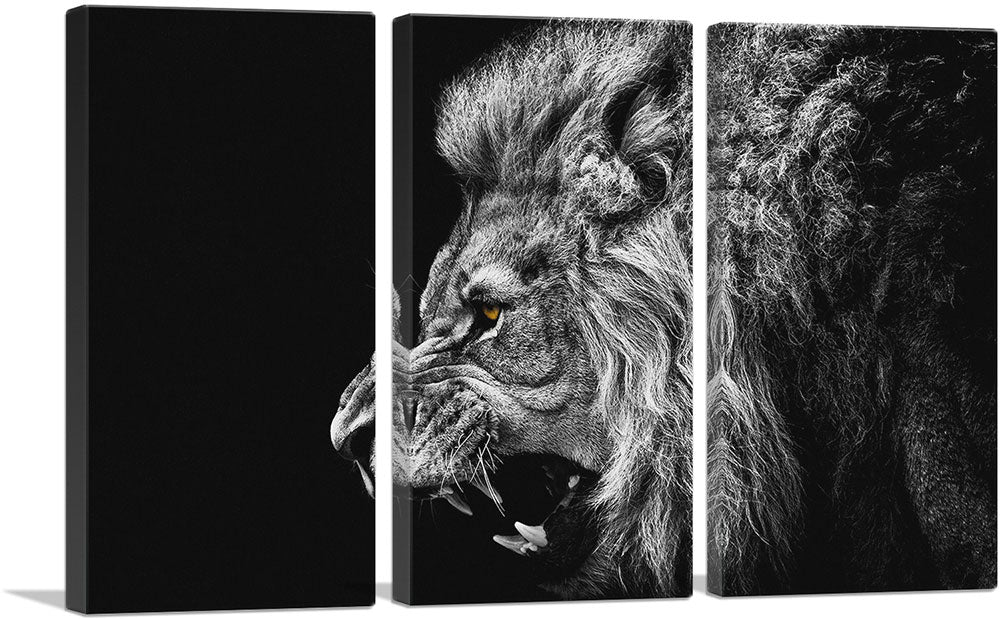 3-panel