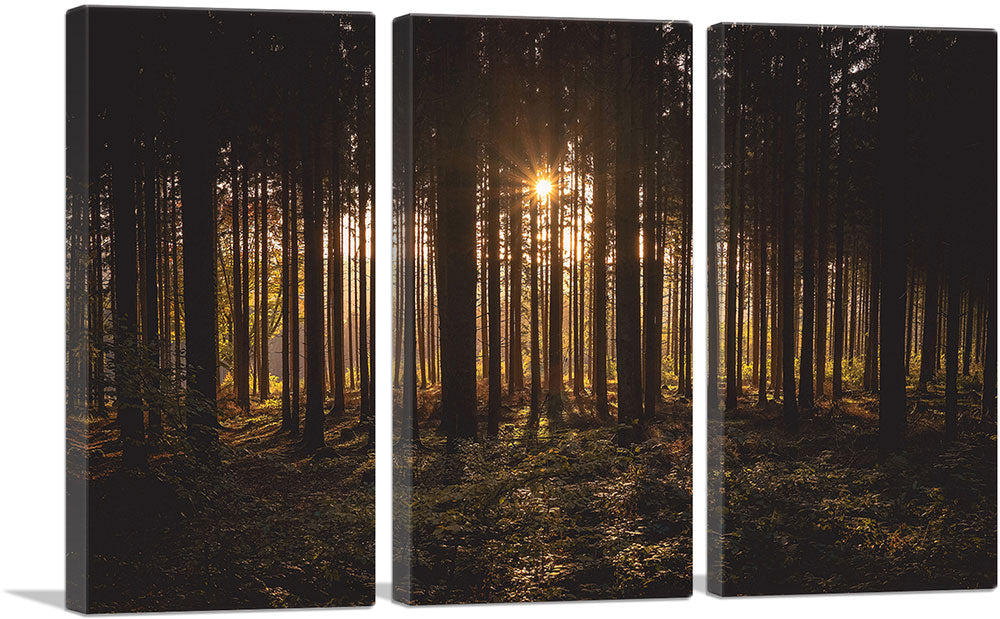 3-panel