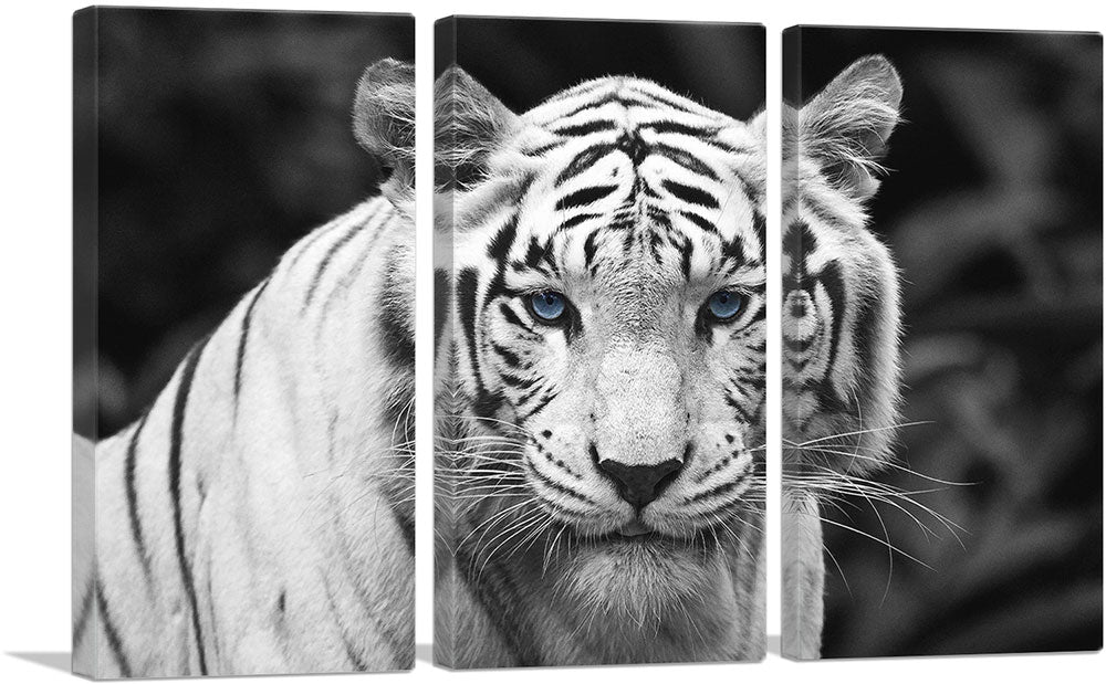 3-panel