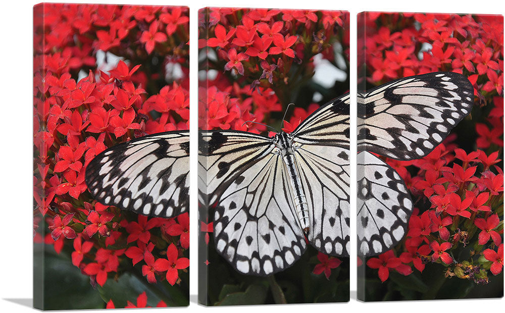 3-panel