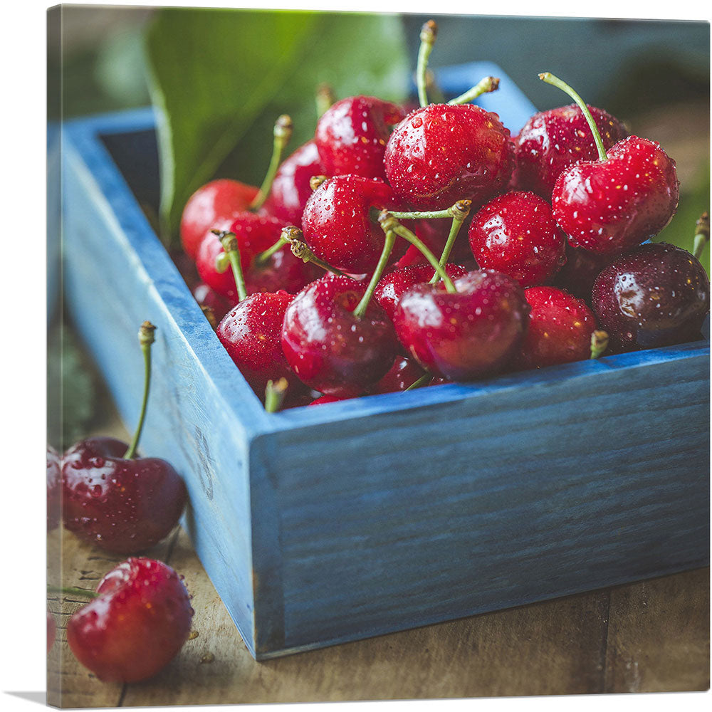 1-panel