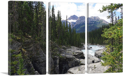 Canada Canyon Forest Mountains and a Stream