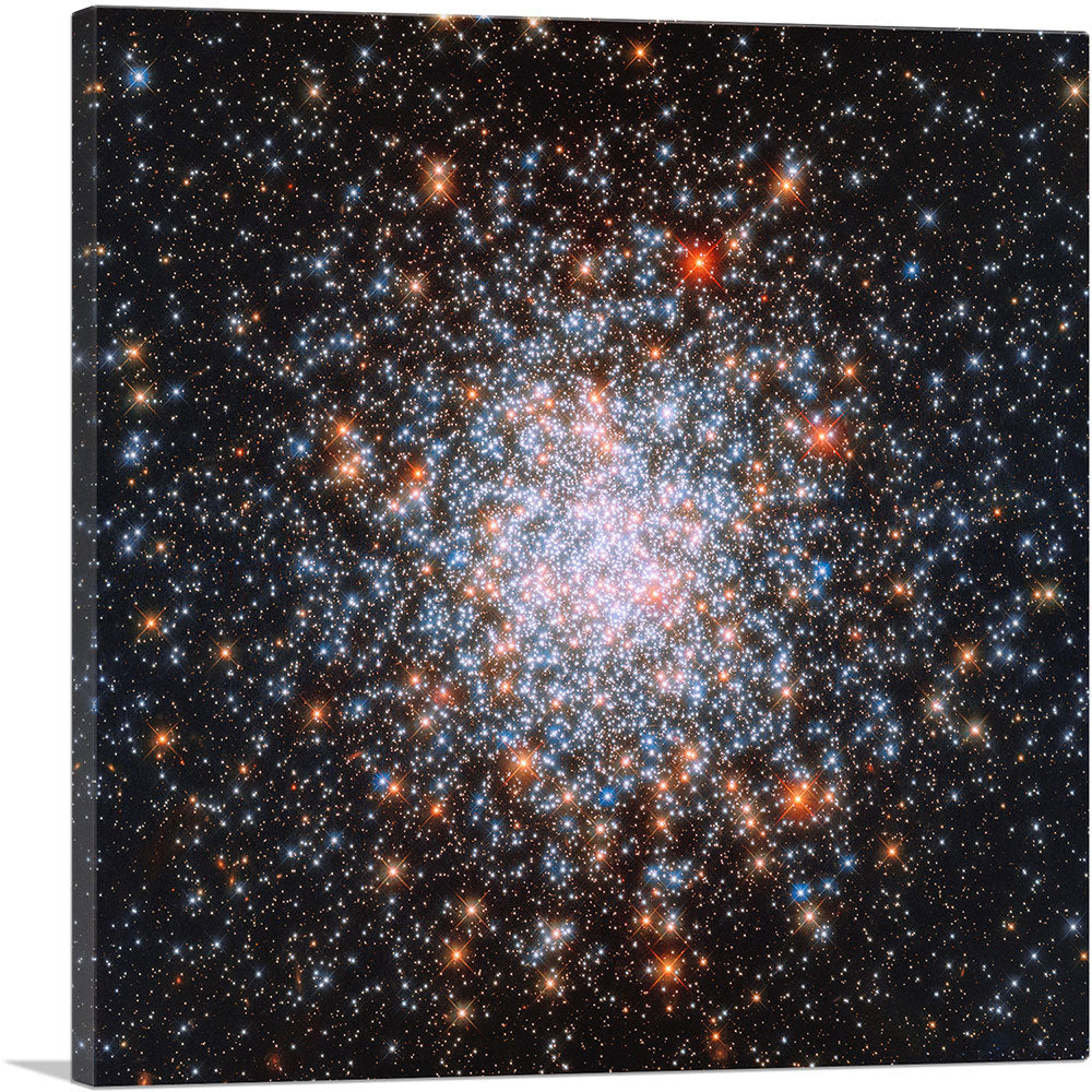 1-panel