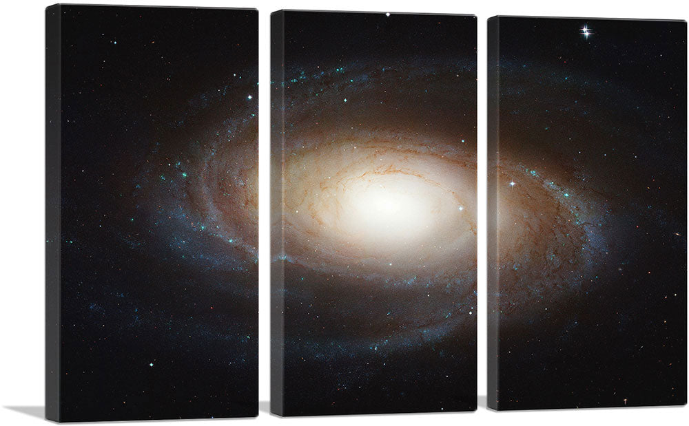 Hubble Telescope Grand Design Spiral Galaxy M81