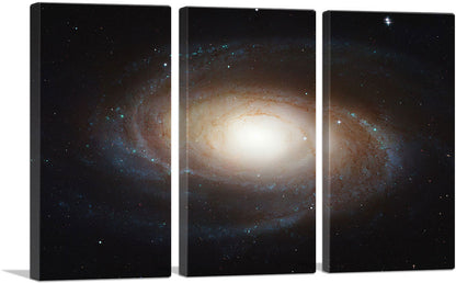 Hubble Telescope Grand Design Spiral Galaxy M81