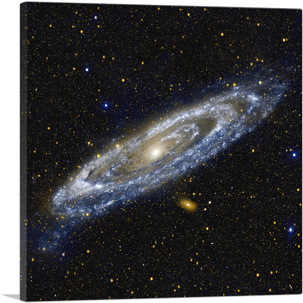 1-panel