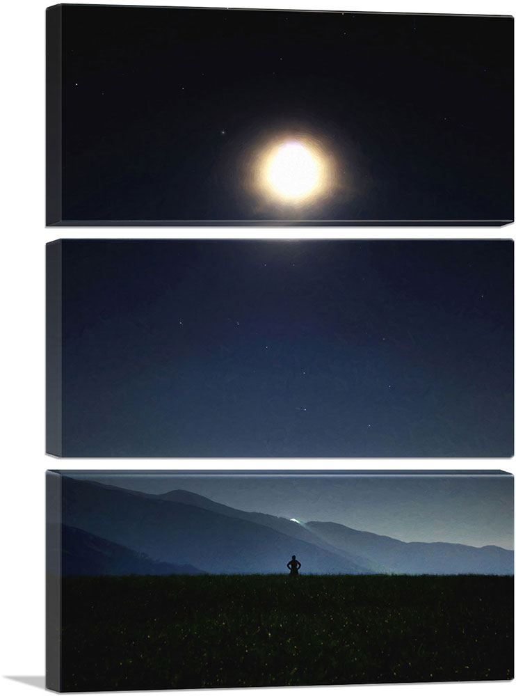 3-panel