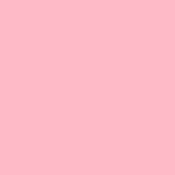 PINK Canvas Art Prints