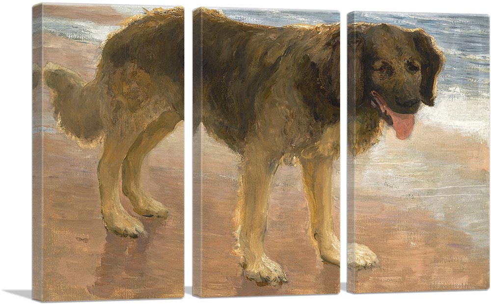 3-panel