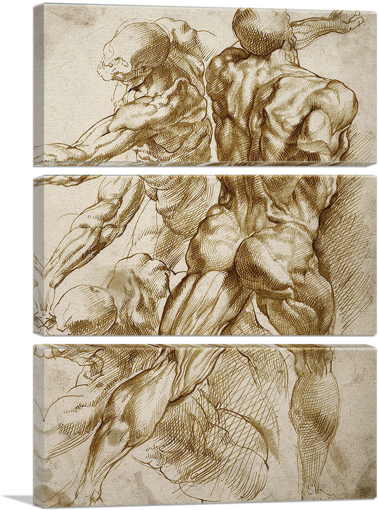 3-panel