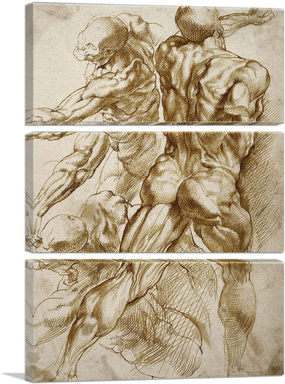 3-panel