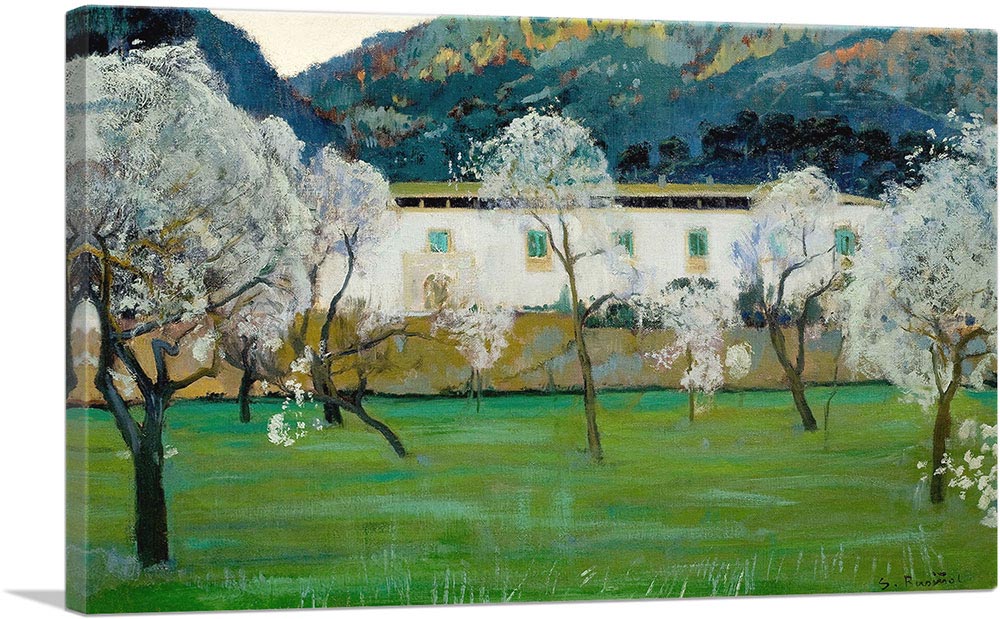 White Masia 1902
