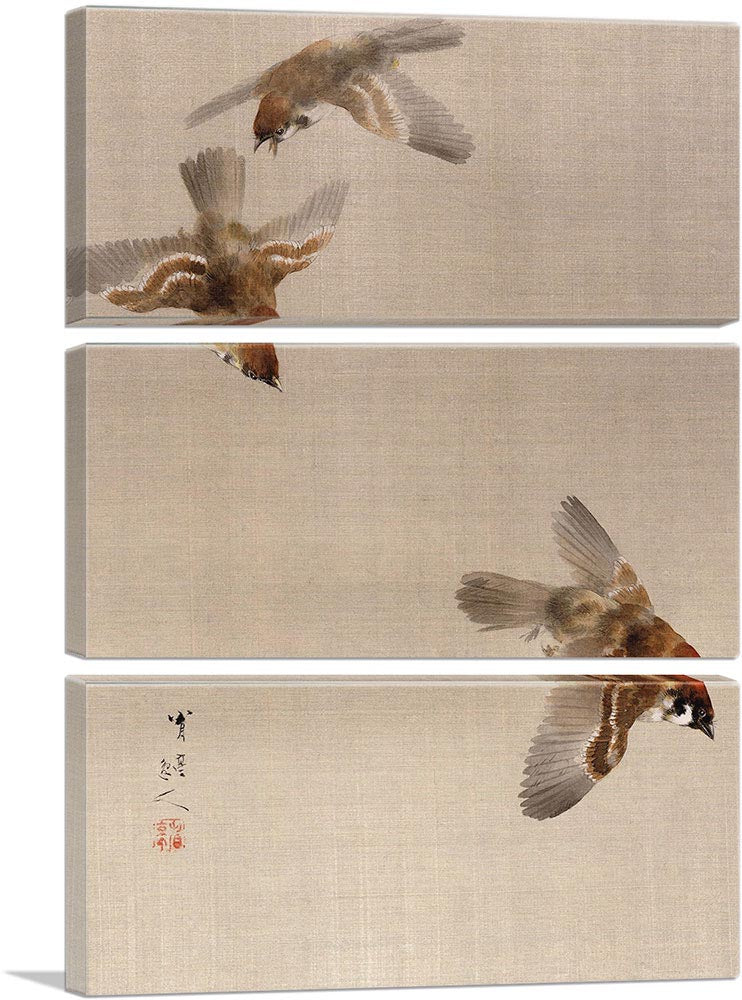 Sparrows