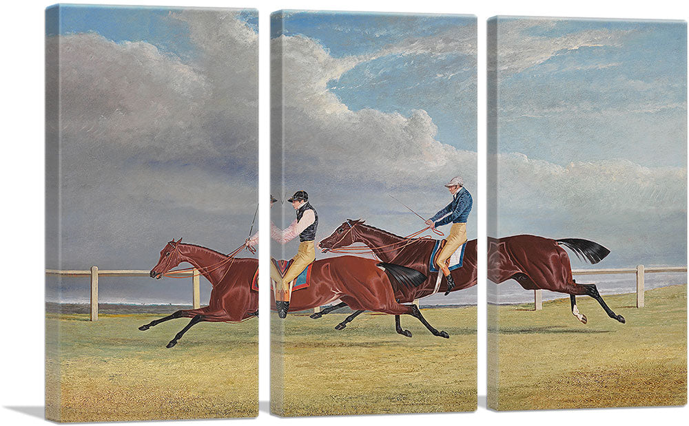 3-panel
