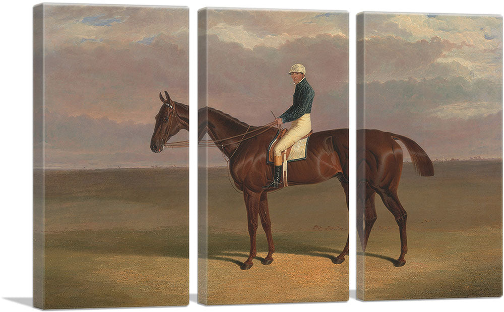 3-panel