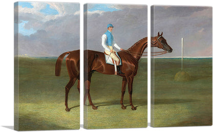 3-panel