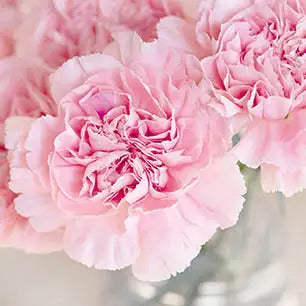 SHABBY CHIC Canvas Art Prints