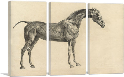 3-panel