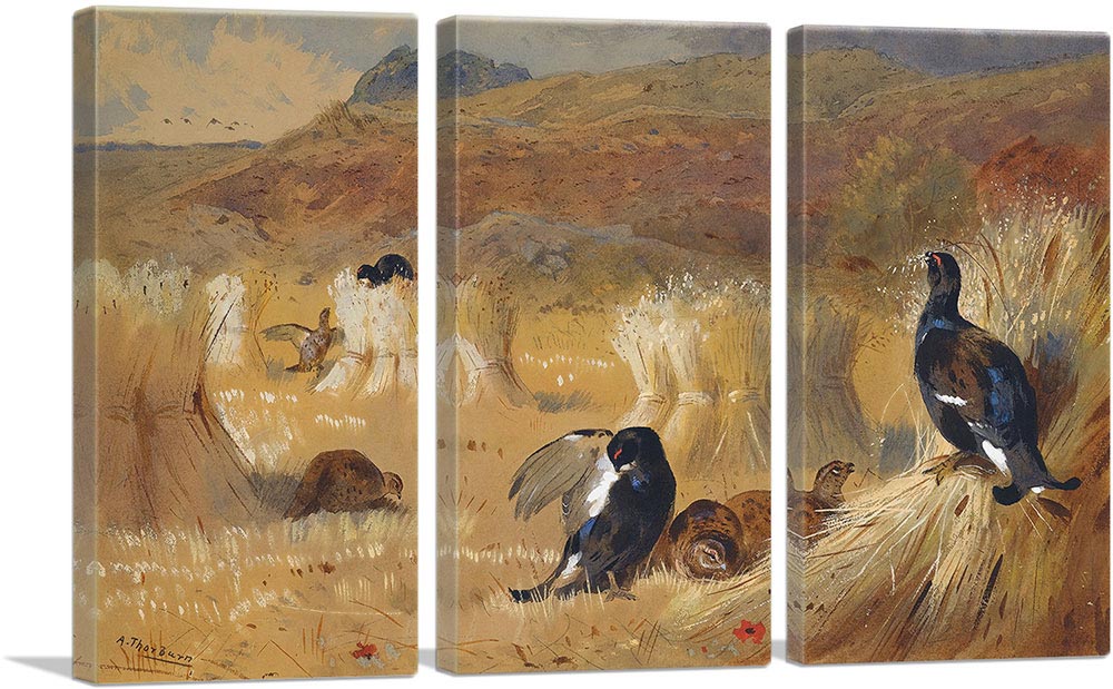 3-panel
