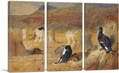 3-panel