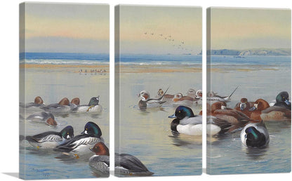 Ducks Along The Shoreline 1921