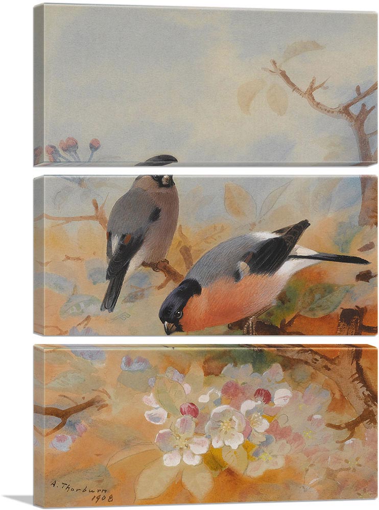 3-panel