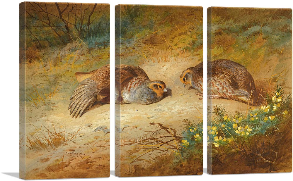 3-panel