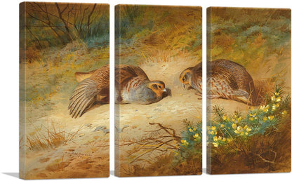 3-panel