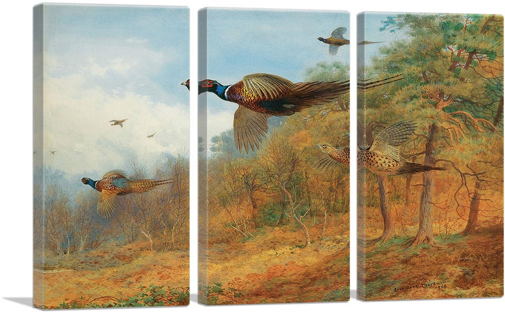 3-panel