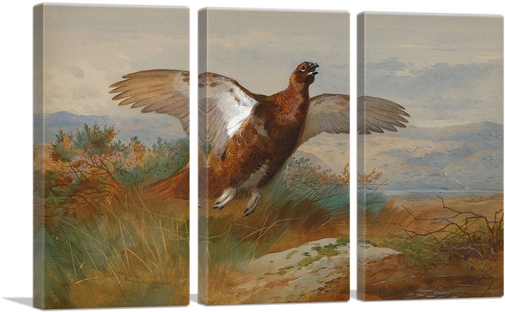 3-panel