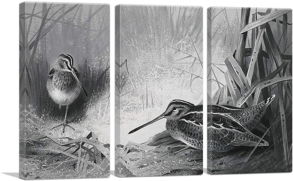 Snipe