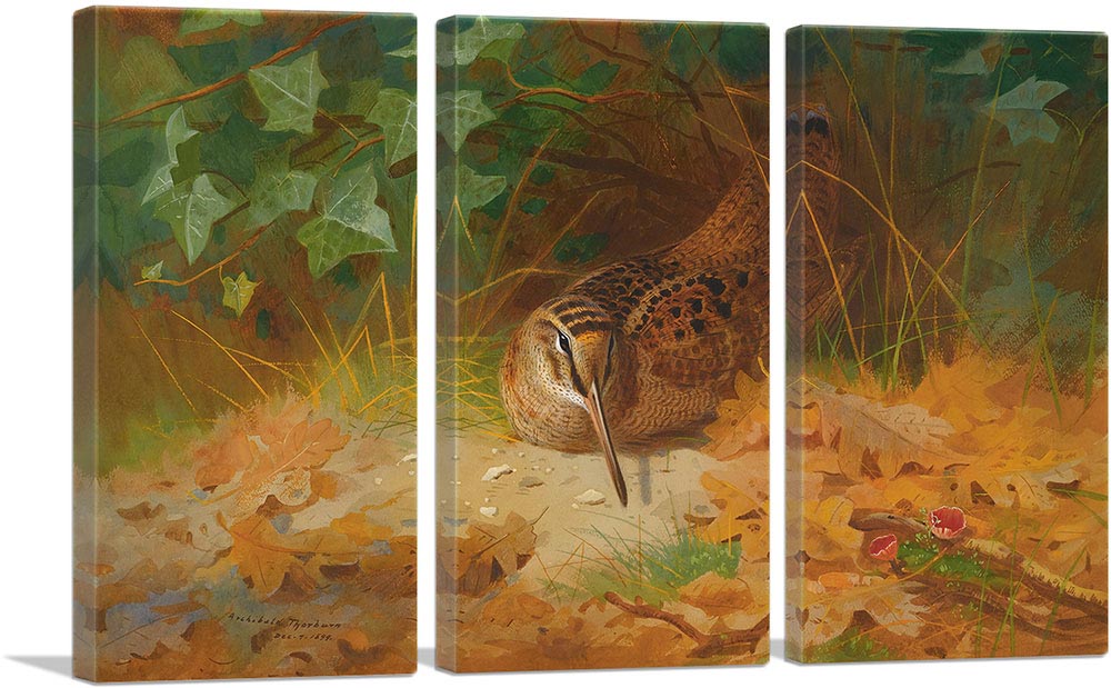 3-panel